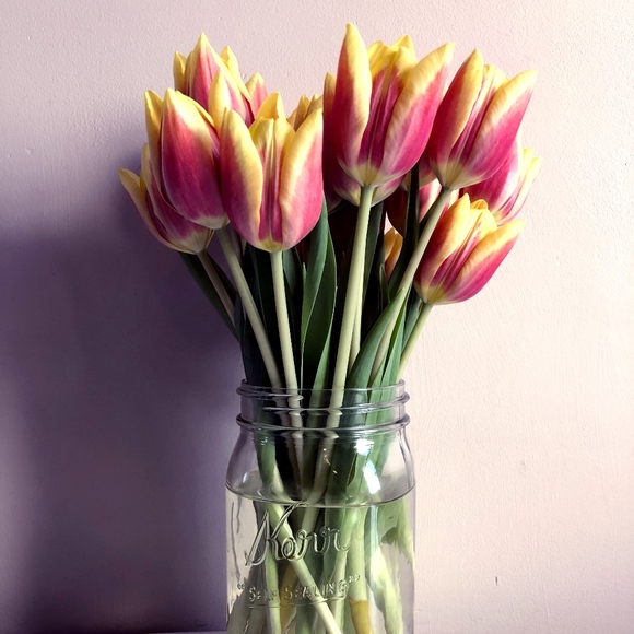 Meet your Posher, Dorothy - Picture 1 of 1